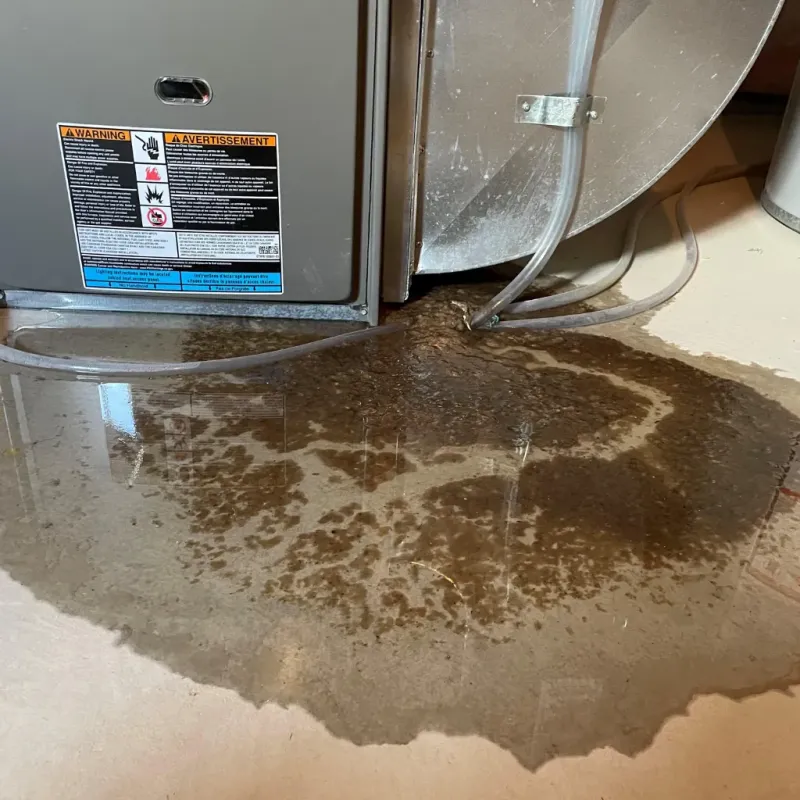 Appliance Leak Cleanup in Eatonville, WA